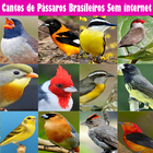 Cantos de Pássaros Brasileiros-icoon