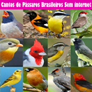 Cantos de Pássaros Brasileiros Sem internet 2021 APK