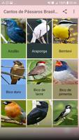 Cantos de Pássaros Brasileiros imagem de tela 1
