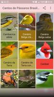 Cantos de Pássaros Brasileiros imagem de tela 2