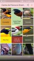 Cantos de Pássaros Brasileiros imagem de tela 3