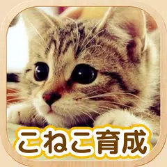 ねこ育成ゲーム - 子猫をのんびり育てる癒しの猫育成ゲーム アプリダウンロード