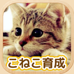 ”ねこ育成ゲーム - 子猫をのんびり育てる癒しの猫育成ゲーム