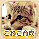 ねこ育成ゲーム - 子猫をのんびり育てる癒しの猫育成ゲーム icône
