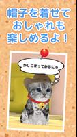 ねこ育成ゲーム - 子猫をのんびり育てる癒しの猫育成ゲーム imagem de tela 3