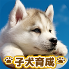 子犬のかわいい育成ゲーム - 癒しの犬育成アプリ أيقونة