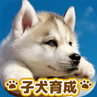 子犬のかわいい育成ゲーム - 癒しの犬育成アプリ-icoon