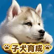 子犬のかわいい育成ゲーム - 癒しの犬育成アプリ
