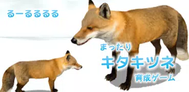 きつね育成ゲーム - かわいい育成アプリ