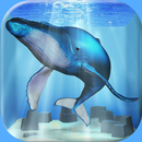 クジラ育成ゲーム-APK