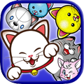 TUMU CAT