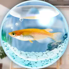 まったりメダカ育成ゲーム XAPK download