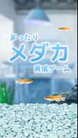 まったりメダカ育成ゲーム 海报