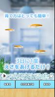 まったりメダカ育成ゲーム ảnh chụp màn hình 1