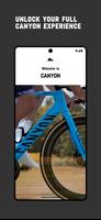 Canyon poster