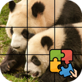 Classic Slide & Swipe Puzzle