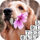 Dogs: Pixel Paint By Number APK