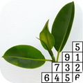 Pixel Art Plant Coloring Book