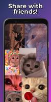 Cute Cats Wallpapers HD 截图 3