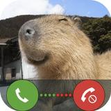 Funny Animals Fake Call & Chat APK