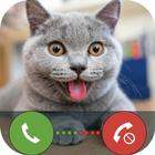 Charming Cats Fake Call ไอคอน