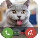 Charming Cats Fake Call & Chat APK