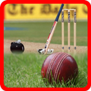 Cricket Quiz Master:700+ Level APK