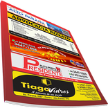 Revista Alto Paraná 2020