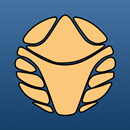 Harry Potter: Secrets of Magic APK