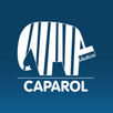 Caparol – Program Partnerski APK