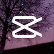 Capcut - Pro Video Editor icon