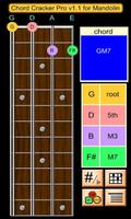 Mandolin Chord Cracker Pro постер