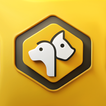 Furzoy