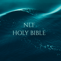 NLT Bible with Commentary