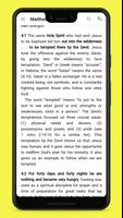 Application Bible Commentary poster