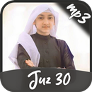 Idris Al Hasyimi Offline Quran Murottal 2020 APK