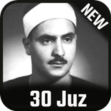 Siddiq al-Minshawi Quran icon