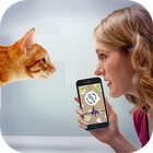 Cat Language Translator - Meow icône