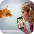 Cat Language Translator - Meow biểu tượng