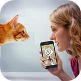 Cat Language Translator - Meow biểu tượng