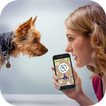 Dog Language Translator - Woof