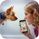 Dog Language Translator - Woof APK