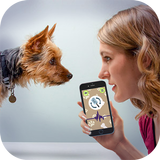 犬の言語翻訳シミュレータ - ペットと話す アイコン