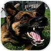 Dog Barking Sounds