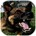Dog Barking Sounds