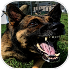 Dog Barking Sounds simgesi