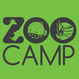 Zoo Camp- San Antonio Zoo