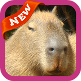 Capybara Wallpaper icône