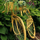 Giant Bicycle Wallpapers APK