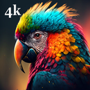 Parrot Bird Wallpapers APK